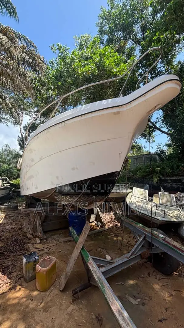 Bateau Avec Cabine 2x 250chv Yamaha À Rénover