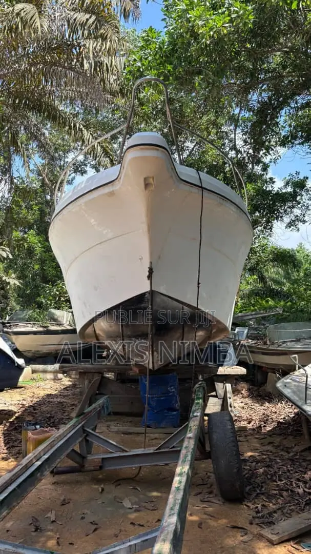 Bateau Avec Cabine 2x 250chv Yamaha À Rénover