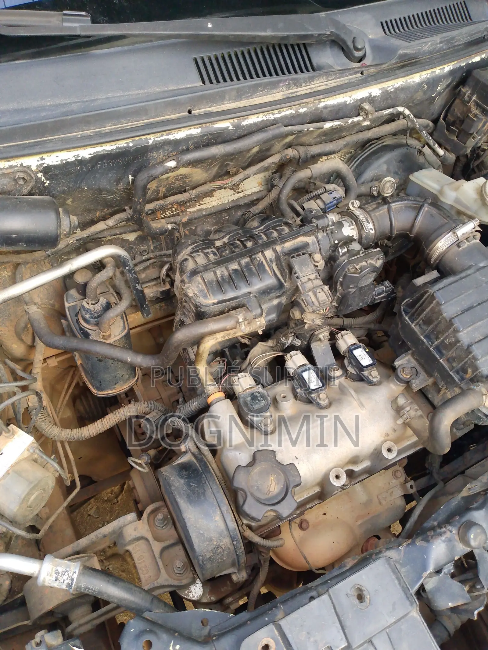 Suzuki Alto 2022 Vert