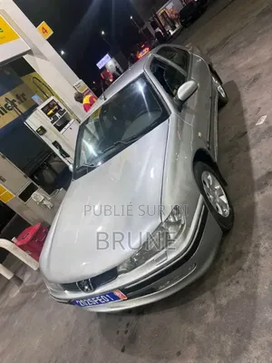 Peugeot 406 SV 3.0 1999 Gris