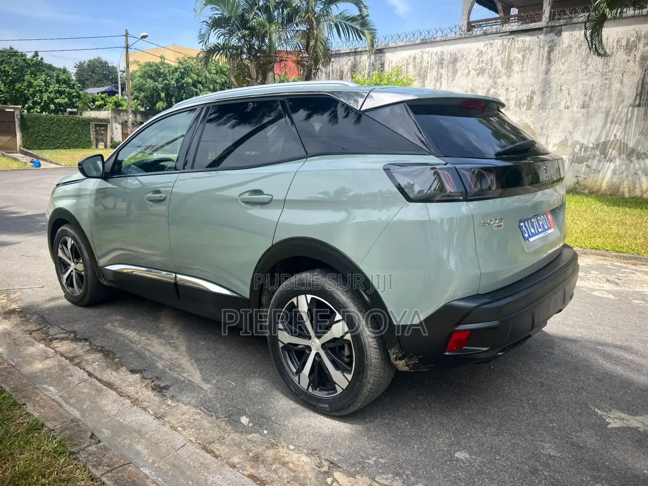New Peugeot 3008 2024 Vert