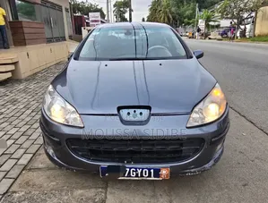 Peugeot 407 1.6 HDi FAP Esplanade 2005 Gris