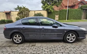 Peugeot 407 1.6 HDi FAP Esplanade 2005 Gris