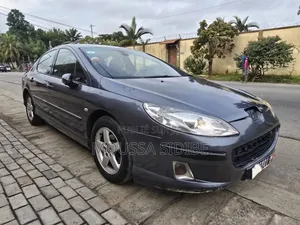Peugeot 407 1.6 HDi FAP Esplanade 2005 Gris