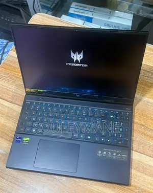 Ordinateur Portable Acer Predator 15 32GB Intel Core I9 SSD 1T