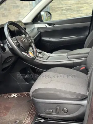 Hyundai Palissade 2020 Rouge