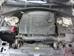 Rover 2000 2019 Blanc