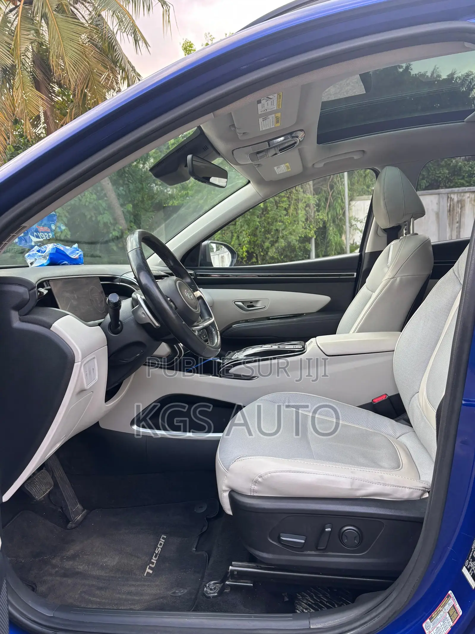 Hyundai Tucson Limited 2023 Blue