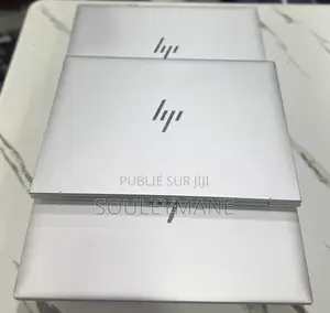 Ordinateur Portable HP EliteBook 845 G11 16GB AMD Ryzen 5 SSD 256GB