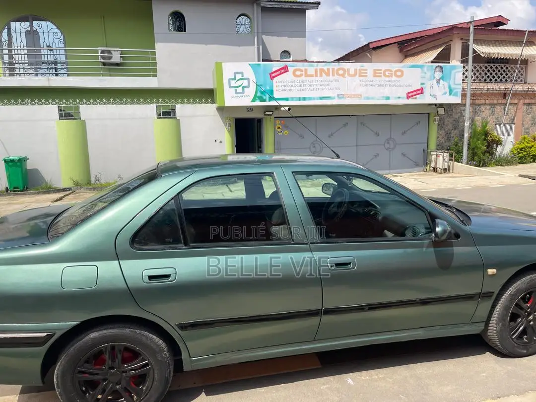 Peugeot 406 2004 Vert
