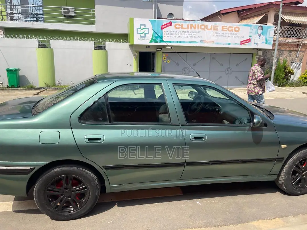 Peugeot 406 2004 Vert