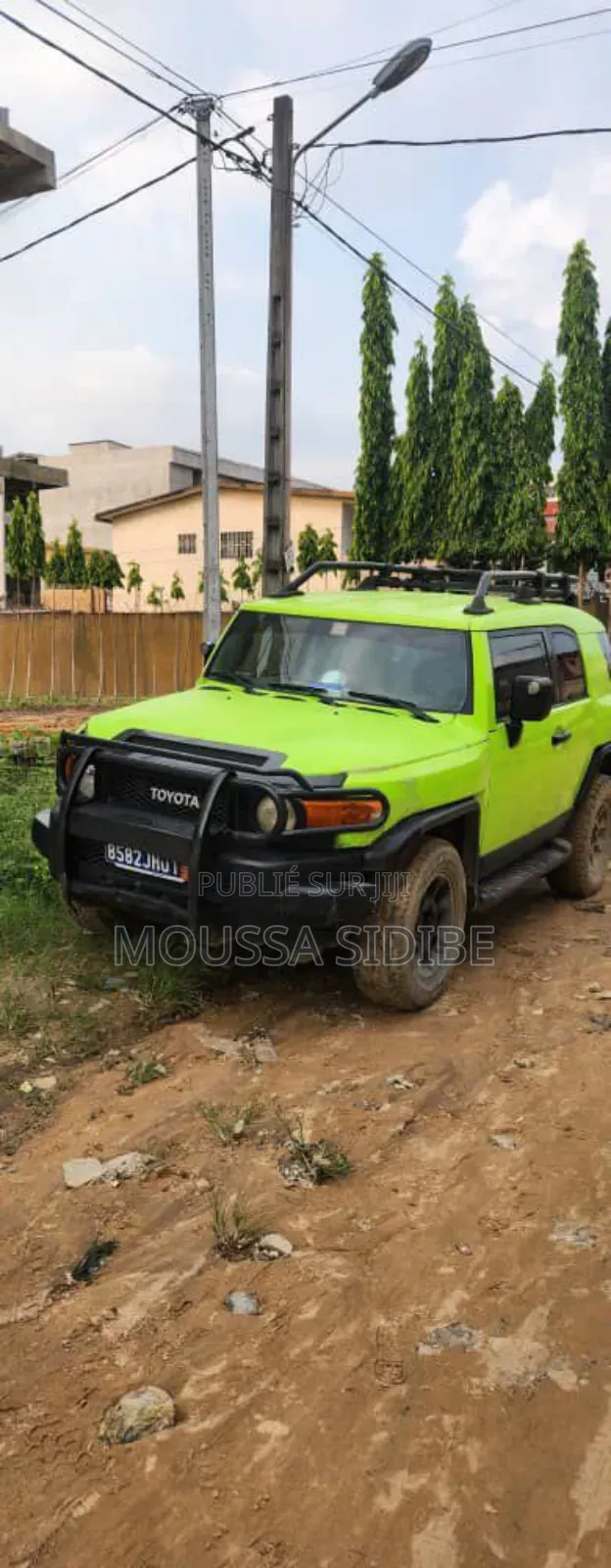 Toyota FJ Cruiser 4x4 Automatic 2011 Vert