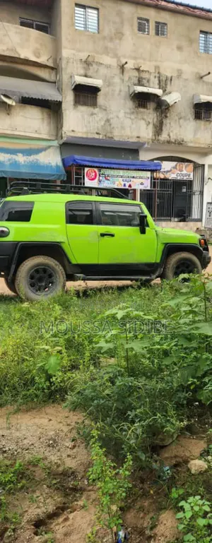 Toyota FJ Cruiser 4x4 Automatic 2011 Vert