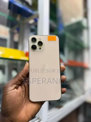 Photo - Apple iPhone 12 Pro Max 256 GB Doré