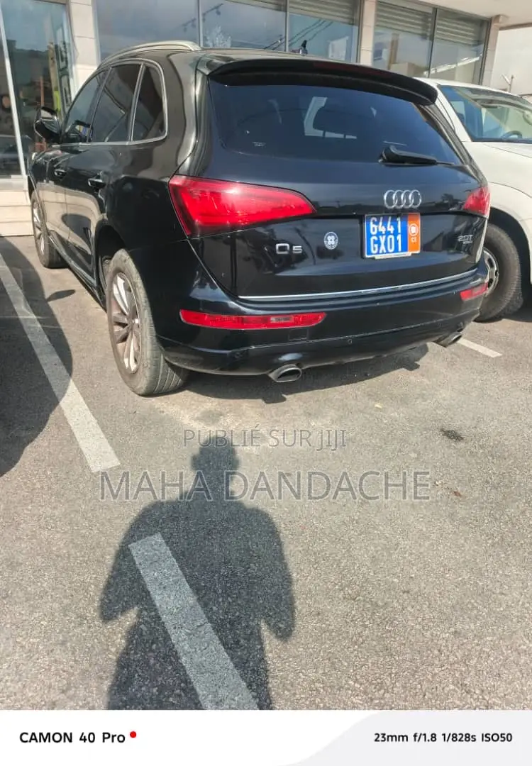 Audi Q5 3.0T Premium Plus quattro 4dr SUV AWD (3.0L 6cyl S/C 8A) 2015