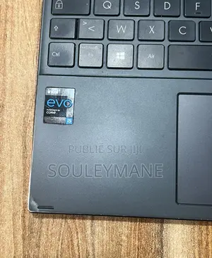 Ordinateur Portable Asus ZenBook UX310UQ 8GB Intel Core I5 SSD 500GB