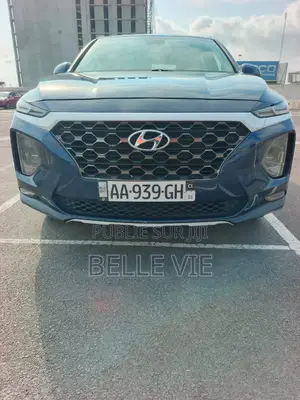 Hyundai Santa Fe 2020 Blue