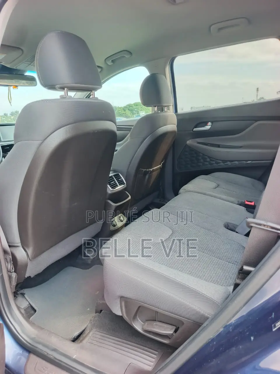 Hyundai Santa Fe 2020 Blue