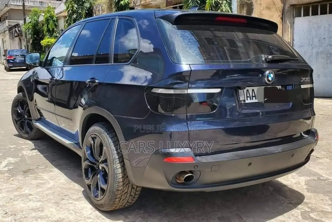 BMW X5 xDrive30i AWD (3.0L 6cyl 6A) 2010 Blue