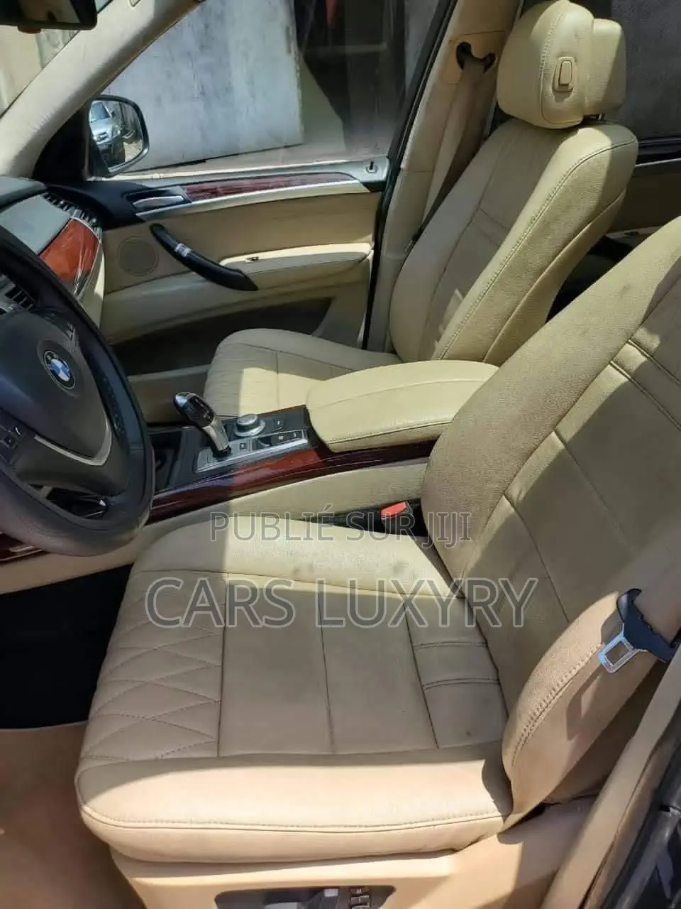 BMW X5 xDrive30i AWD (3.0L 6cyl 6A) 2010 Blue