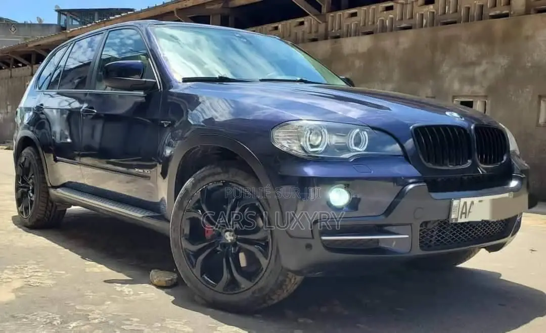 BMW X5 xDrive30i AWD (3.0L 6cyl 6A) 2010 Blue
