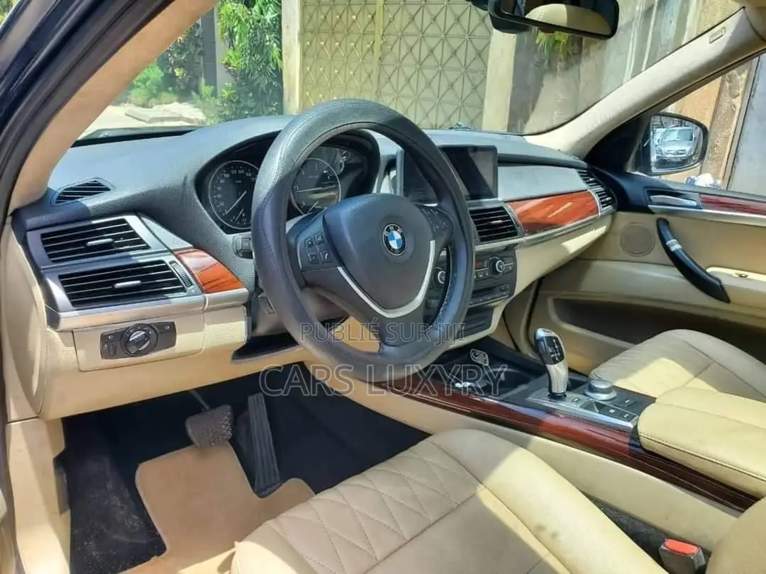 BMW X5 xDrive30i AWD (3.0L 6cyl 6A) 2010 Blue