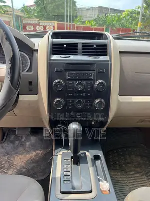 Ford Escape 2008 Gris