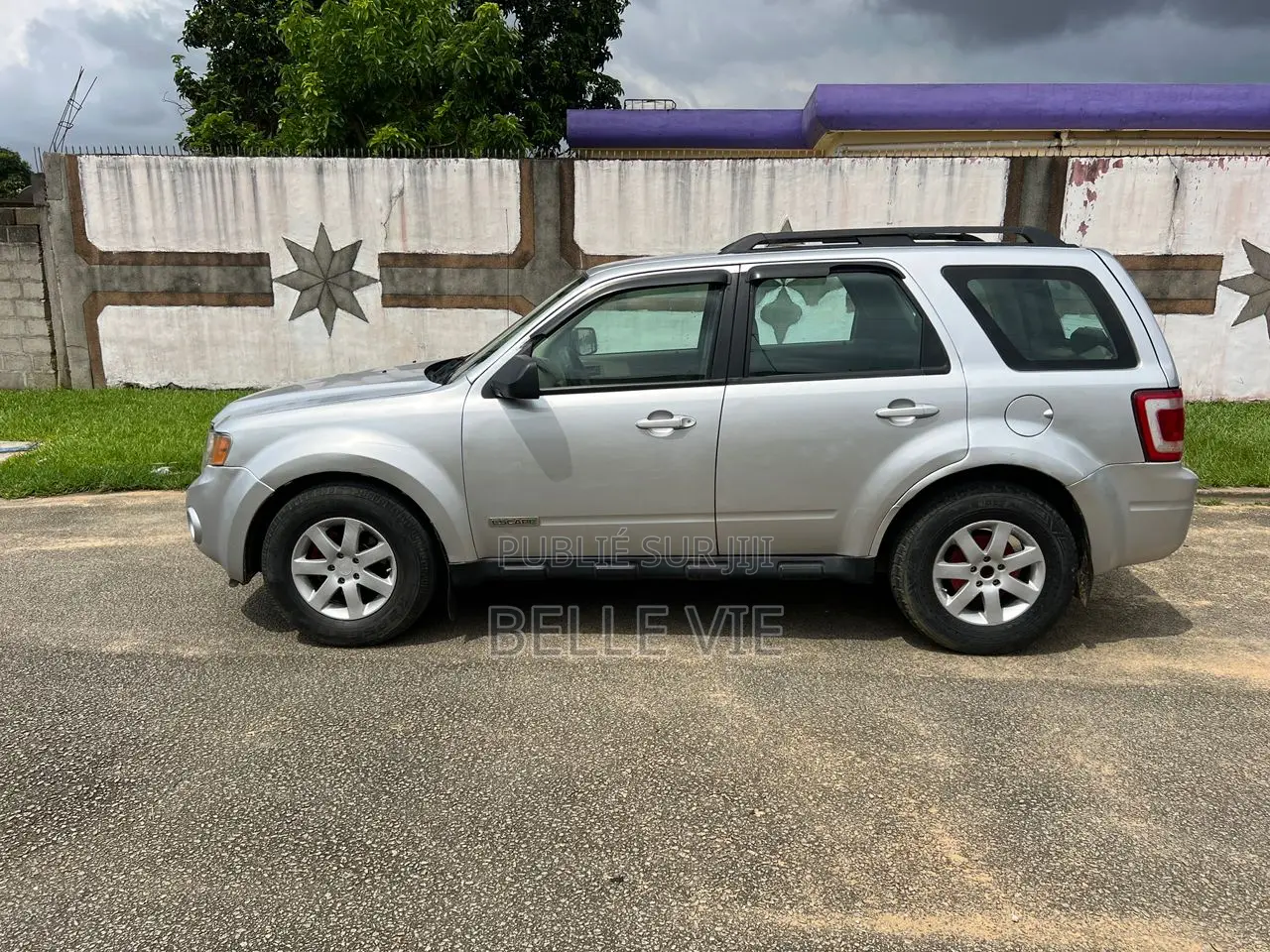Ford Escape 2008 Gris