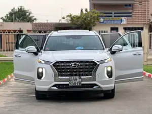 Photo - Hyundai Palissade Calligraphy 2021 Blanc