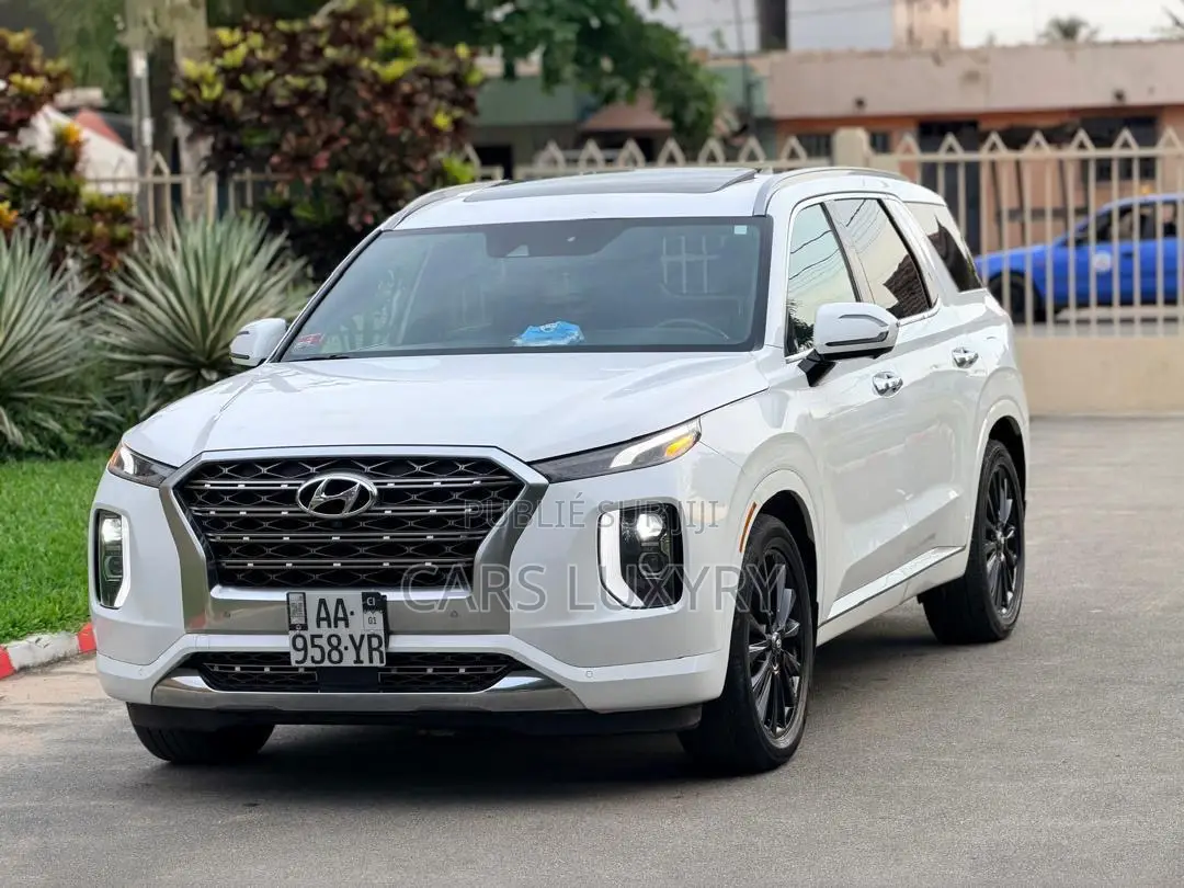 Hyundai Palissade Calligraphy 2021 Blanc