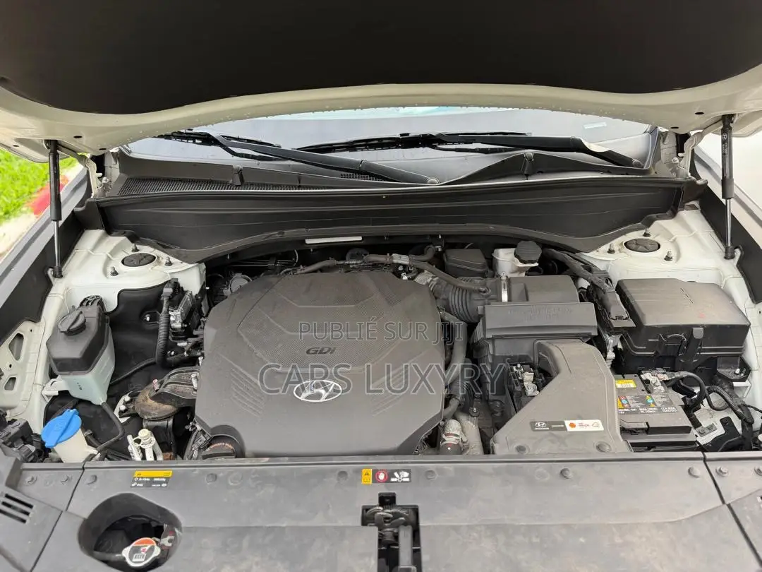 Hyundai Palissade Calligraphy 2021 Blanc