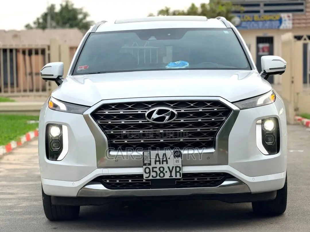 Hyundai Palissade Calligraphy 2021 Blanc