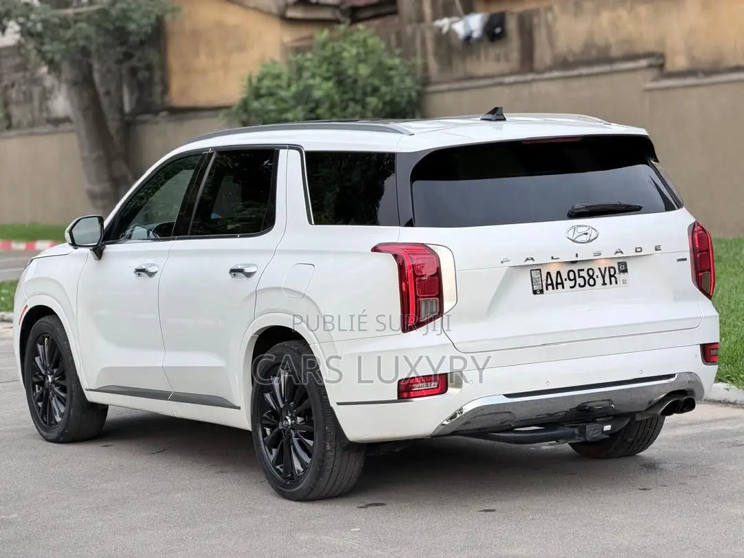 Hyundai Palissade Calligraphy 2021 Blanc