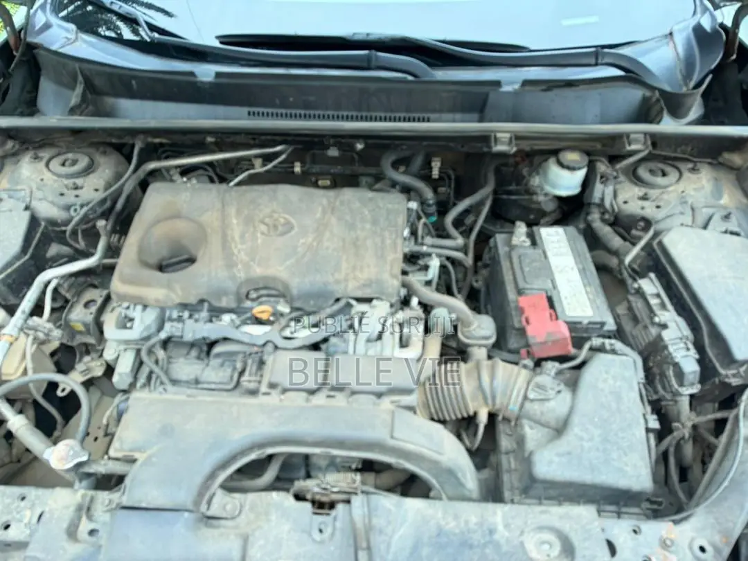 Toyota RAV4 2021 Vert