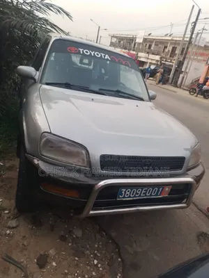 Photo - Toyota RAV4 2002 Gris