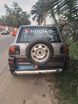 Toyota RAV4 2002 Gris