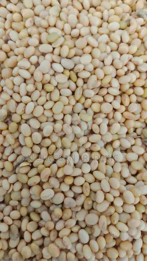 Soja Blanc Disponible Livraison Partout en Côte d'Ivoire