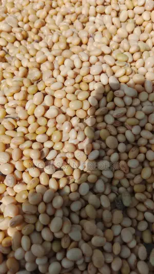 Photo - Soja Blanc Disponible Livraison Partout en Côte d'Ivoire