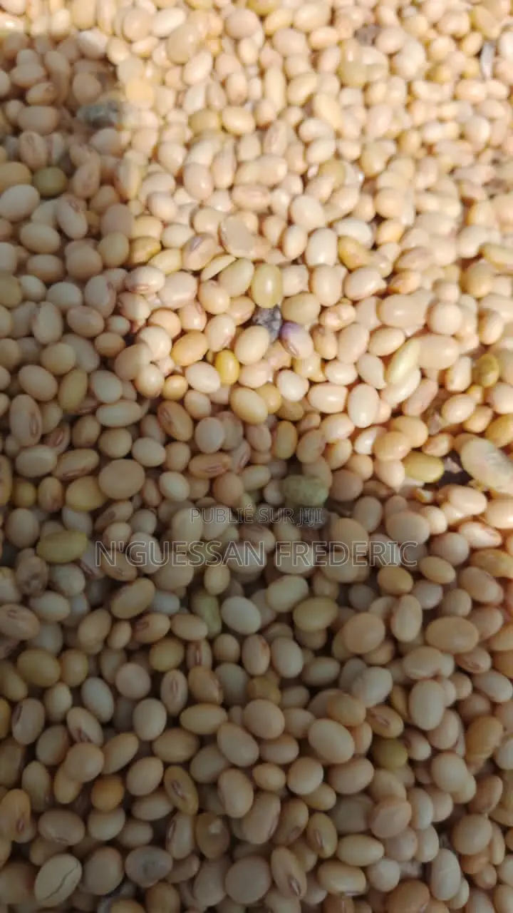 Soja Blanc Disponible Livraison Partout en Côte d'Ivoire
