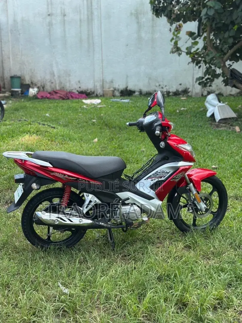 New Apsonic AP110-3A 2024 Rouge