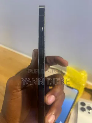 New Apple iPhone 13 Pro Max 128 GB Bronze