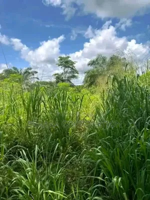 Photo - Partenariat Construction Au Pleau Sur 1280m2