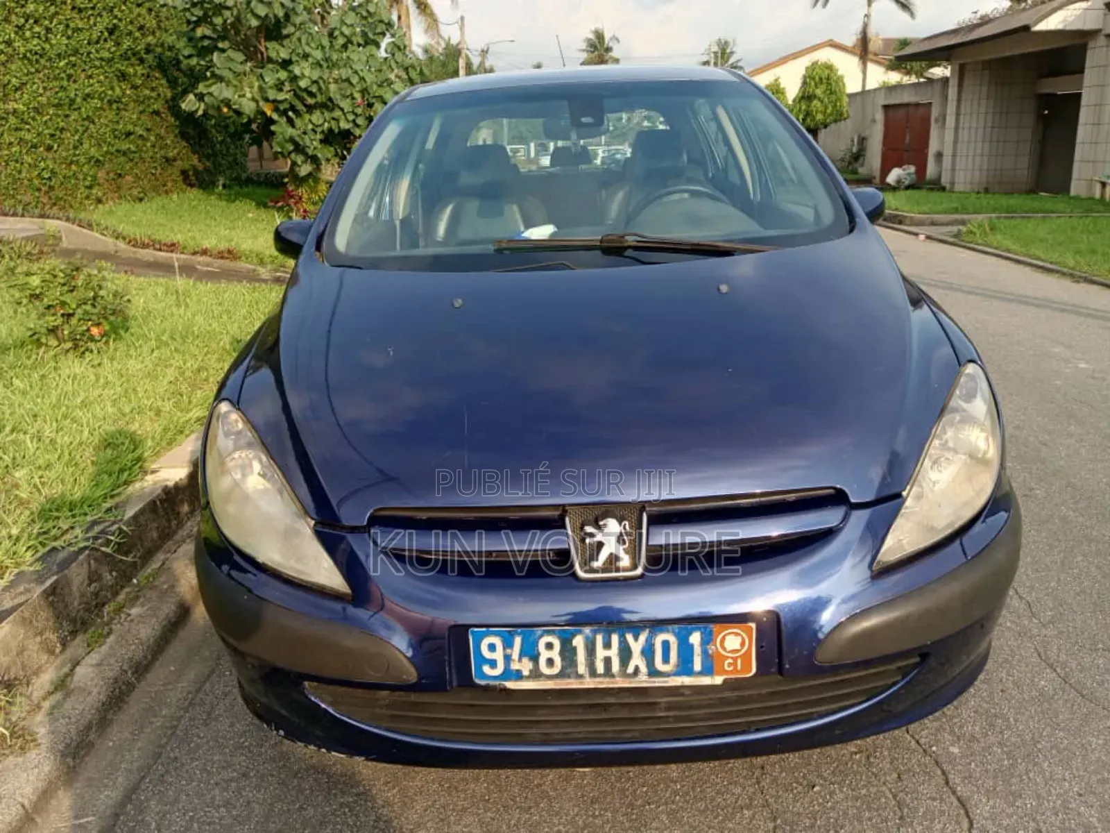 Peugeot 307 2002 Blue