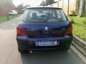 Peugeot 307 2002 Blue