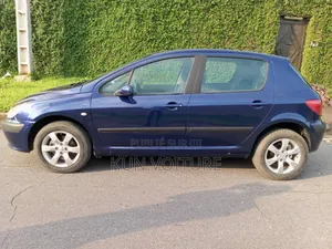 Peugeot 307 2002 Blue