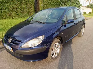 Peugeot 307 2002 Blue