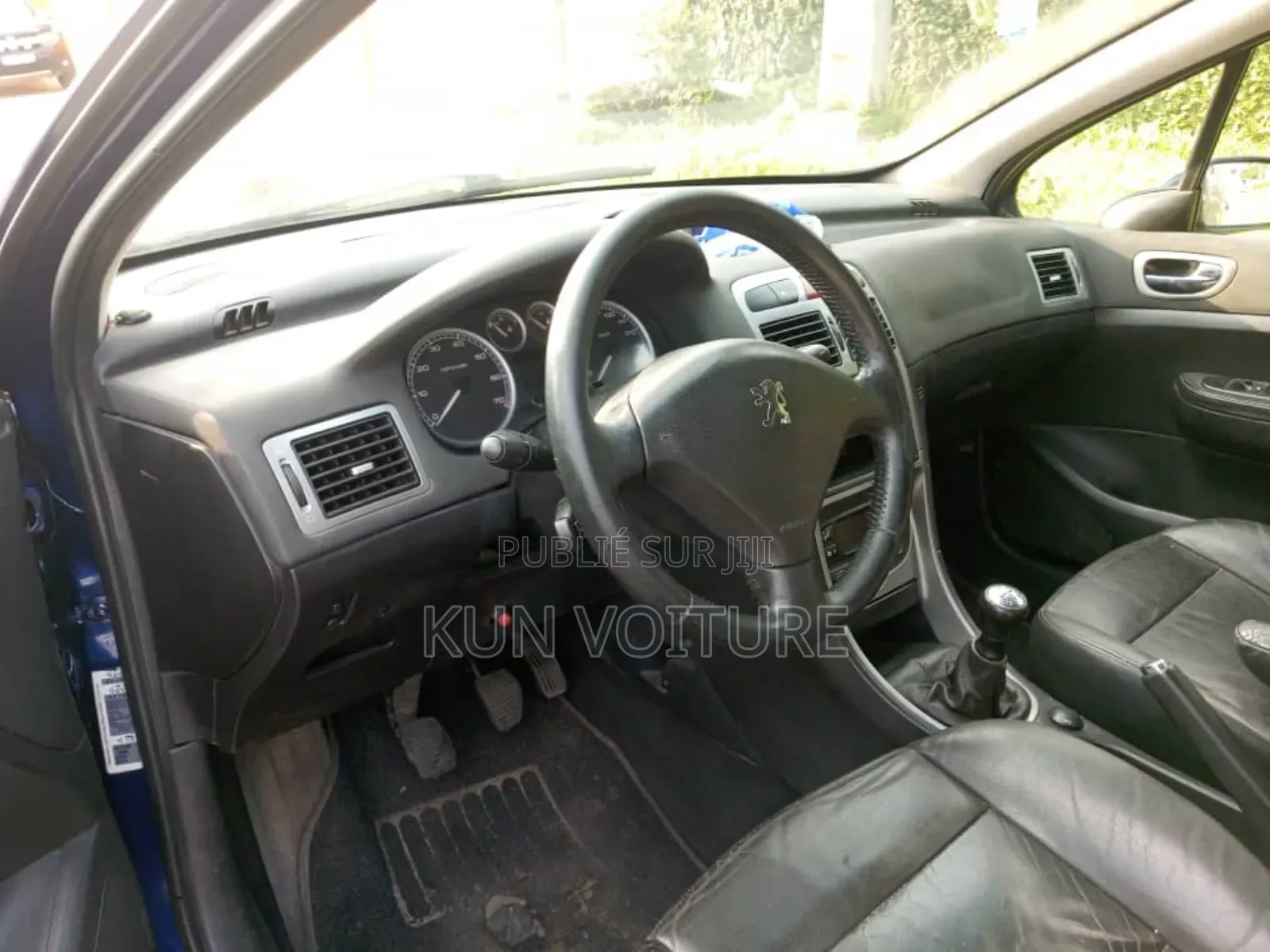 Peugeot 307 2002 Blue