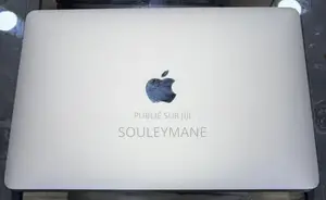 Ordinateur Portable Apple MacBook Pro 2022 M2 16GB Apple M2 SSD 256GB