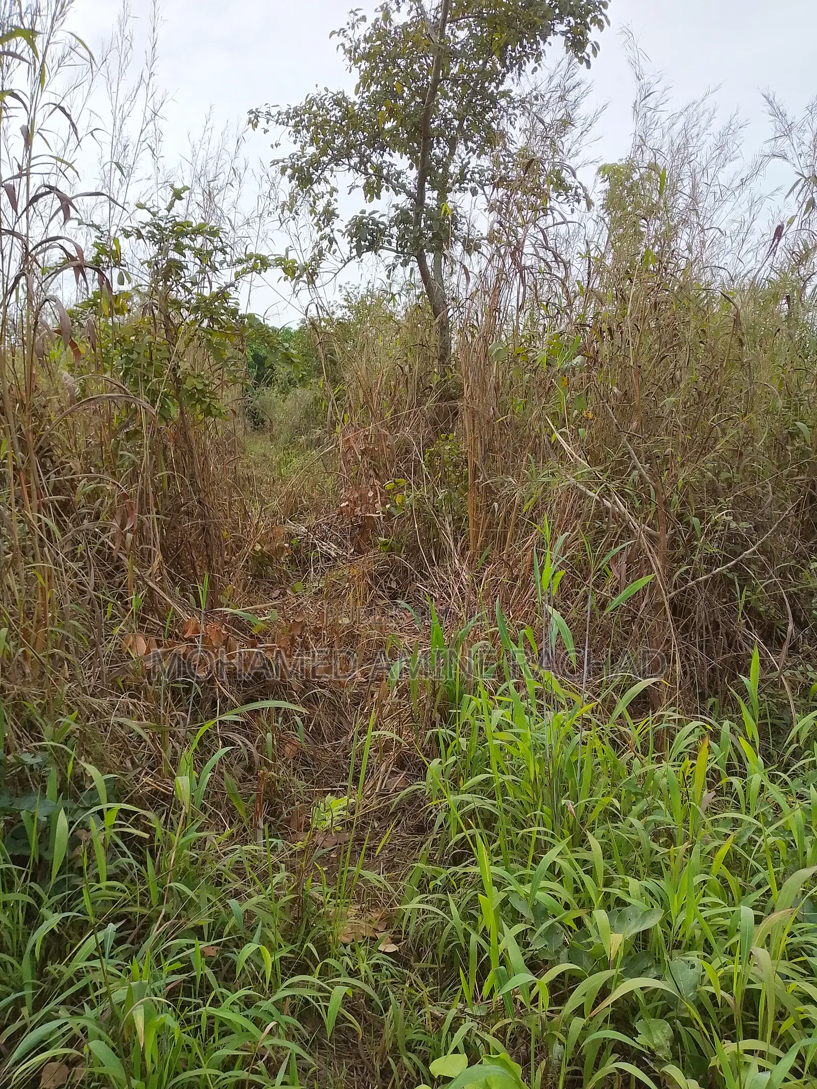 Nouveau Lotissement Bamoro