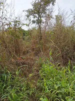 Nouveau Lotissement Bamoro